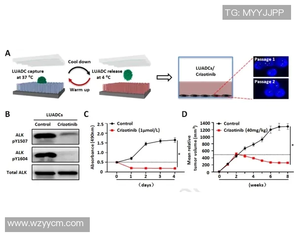乌法与尼达克的对决分析及双方近期表现评估
