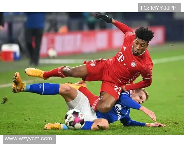 2017年拜仁慕尼黑与沙尔克04精彩对决回顾与分析