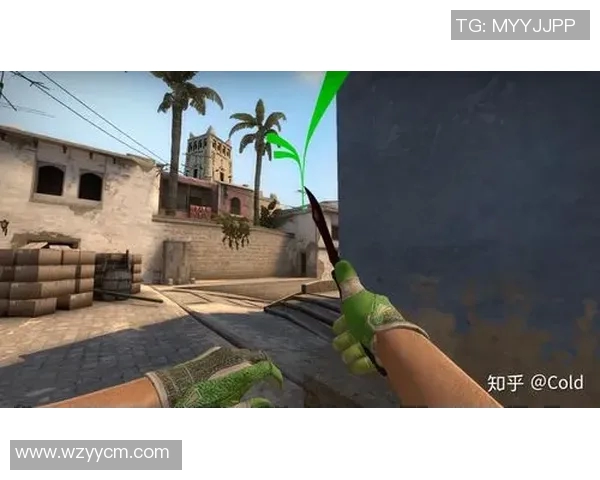 CSGO战术解析:深入探讨JDG中路突破的成功秘诀与策略