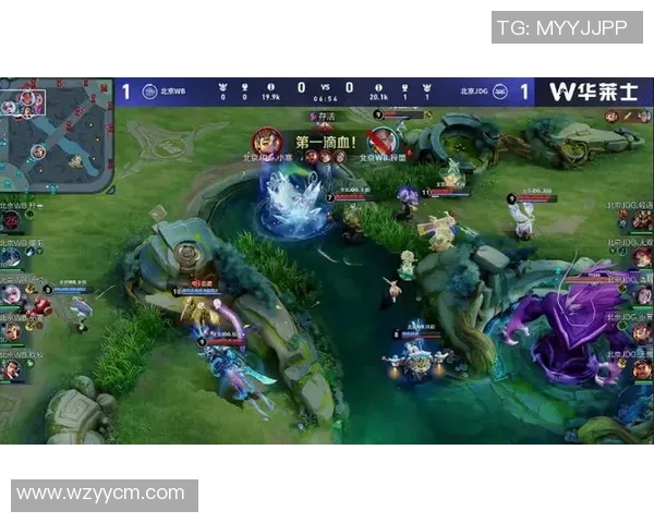 聚焦王者荣耀赛事分析JDG战队如何掌控比赛节奏与策略